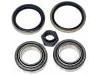 Wheel bearing kit:5 007 040