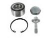 ремкомплект подшипники Wheel Bearing Rep. kit:246 981 00 06