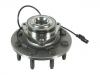 Wheel Hub Bearing:52010206AC