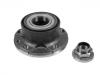 Radnabe Wheel Hub Bearing:46531237