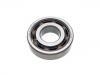 轮毂轴承 Wheel Bearing:110 24