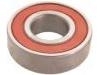 Wheel Bearing:01011-00021