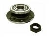 Radnabe Wheel Hub Bearing:3748.29